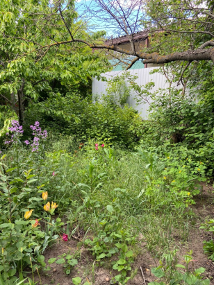 Участок рядом с Русским полем.