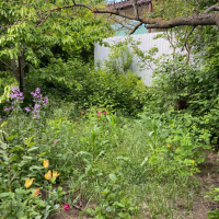 Участок рядом с Русским полем.