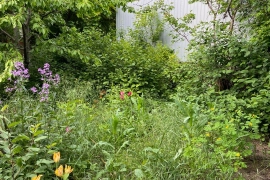 Участок рядом с Русским полем.