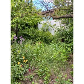 Участок рядом с Русским полем.